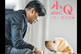 《小Q》是一部讲述导盲犬忠诚与奉献的感人电影