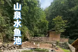 在自己的小院，拥有一口清澈见底的泉水池，是一种什么体验？ #改造泉水   #山泉水鱼池  #小院改造 #老房改造 #乡村生活视频封面