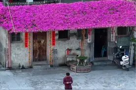 广东揭阳年近九旬老伯有一间人人羡慕的房子，房前有一棵独一无二，种了40多年三角梅，房子很老却很温馨#三角梅 #老房子的回忆 #旅行大玩家视频封面