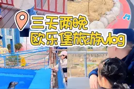石家庄出发3小时，到达德州泉城欧乐堡，3天2夜VLOG，非常适合带孩子去的短途旅行，动物园里的大部分动物都可以喂#上热门 #欧乐堡 #遛娃好去处 #一起去春游 #旅行vlog