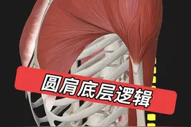 圆肩和胸大肌紧张没有任何关系 #体态纠正 #驼背 #肋骨外翻 #骨盆前倾 #圆肩驼背视频封面