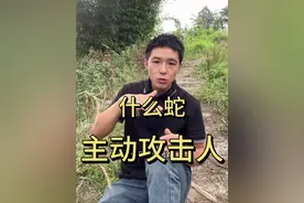蛇真的会主动攻击人类吗？#蛇类科普 #户外爱好视频封面