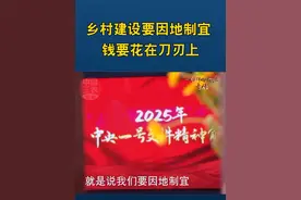 乡村建设要因地制宜 钱要花在刀刃上 #中央一号文件视频封面