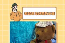 故事变事故，真是看起来很命苦的一熊啊#汪苏泷 #演唱会 #打工人 #搞笑 #万万想不到