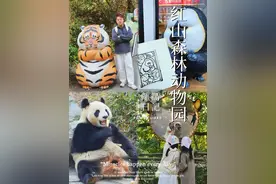 🐼【一年去5次的私藏攻略！40💰薅到400快乐全记录】🚇     📍 交通指南｜地铁党狂喜！ ❶ 北门/东门都有停车场🅿️   ❷ 强推地铁1号线→红山动物园站1号口出🚶♀️步行400米直达北门   （亲测比自驾省力10倍！🚌园区大巴随到随走但容易堵车）   🏃‍♀️ 必打卡路线｜8:30开园就冲这些地方！ 🌟9:00考拉馆   蹲明星考拉称体重🤪门口还有萌到窒息的考拉宝宝雕像！   （悄悄说：周末人挤人时可以从侧门栅栏缝偷看！）  🐾 隔壁比耶杜杜  超爱躺平摆烂的“网红瘫”，金丝猴家族在玻璃后疯狂作妖🐒    🌿 高黎贡小熊猫村   毛茸茸的“猫中糯米团子”爬树打滚，撸秃你的少女心💕    🎣 虎馆天桥   低头走小心被“老虎尿尿”淋湿头顶🌧️（胖虎表情包出没警告⚠️）    🐒动物行为观察课｜这些细节太会玩了！ ✅ 猴山社牛现场   网红猴被哨兵猴全程站C位盯梢🤫   ✅ 熊猫投喂时间表   8:30/12:30/14:30/16:30准时开饭🍵（举着手机等竹子从天而降）   ✅ 手绘动物身份证墙   每只动物都有专属“明星档案”📸连性格都被写得明明白白！  👟避坑指南｜亲测有效的生存法则 ⚠️穿防滑鞋！全程2万步≈爬紫金山🏔️   ⚠️带充电宝！没电拍不了杜杜瘫平名场面📱   ⚠️婴儿车可租！北门游客中心免费租借（记得要押金呀！）     🛍️文创暴走清单｜40元只是首付！ 🔖盖章攻略👉🏻进主页搜「红山动物园盖章地图」   🎁限定周边：竹纤维熊猫毛巾/动物盲盒/考拉钥匙扣   🍴北门出口美食：烤鸭+肉夹馍+皮肚面！    #南京旅游 #红山森林动物园 #一起去春游 #南京美食视频封面