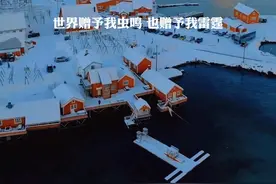 2025蛇年春晚携手王菲推出特别单曲《世界赠予我的》，时隔七年再登春晚，相比王菲年轻时的天籁之音，现在又多了一份国泰民安的温暖，太好听了，单曲循环中...#王菲 #王菲新歌 #世界赠予我的#新歌上线 #春晚视频封面