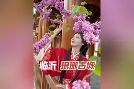 五一的临沂太会整活了～#琅琊古城 #一城好戏游琅琊 #五一的临沂太会整活了视频封面