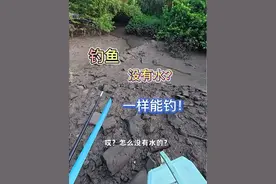 钓鱼没有水怎么办 ？一样能钓…   #户外钓鱼 #海钓 #本诺冷刃鱼竿 #本诺钓鱼 #南鲮王罗非一瓶搞定 @本诺官方旗舰店