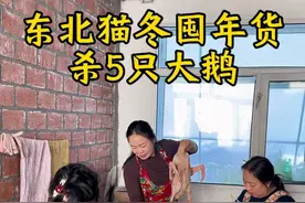 东北5个月猫冬生活主打一个不闲着，今天继续整大活囤年货，杀5只大鹅，年味要来了哈！#东北猫冬生活 #大娟子回村 #囤年货 #农村美食 #记录真实生活