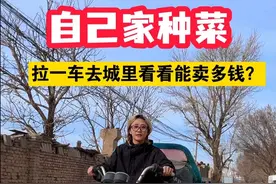 今年的第一车菜要比想象中卖的顺利   在我持续不断的吆喝中全卖完了 也算是为今年开了一个好头 相信明天会更好加油！ #关关卖菜 #新农人计划2025 #乡村生活家视频封面