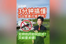 3分钟搞懂基孔肯雅热 什么是基孔肯雅热？该如何预防？