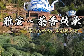 我发现了四川最清雅的小城～雅安！ #四川雅安 #雅安 #名山推荐官 #为中国小城上分 #旅行vlog视频封面