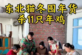 猫冬5个月主打一个不能闲着 这不今天又杀了11只公鸡开始囤年货，累不累忙不忙是小事，年味来了你感觉到了吗？虽然四十有五我还是盼过年，屏幕前的谁和我一样！#东北猫冬生活 #杀年鸡 #大娟子回村 #农村生活 #农村美食