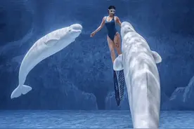 纪录片《不会说话的朋友》之特别制作【她热爱】🐳，“白鲸陪我走过的，是我的青春。我陪它们走过的，是它们生命的全部”。#白鲸#重庆融创海世界视频封面