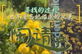 鹤望兰的叶子有窄细也有宽厚，随着环境从干旱到湿润、从寒冷到炎热的变化，植物的叶片形态也随之发生变化，也充分体现了南非气候的丰富多样性……#闲人请进 #鹤望兰 #大有学问视频封面