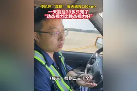 机场停机坪“鹰眼”，一天捡20多只知了，动态视力>静态视力！他们是谁？#杭州 （来源：杭州机场）视频封面