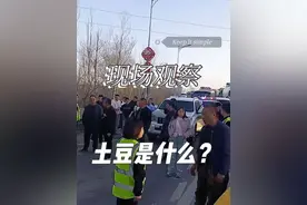 争论不休！土豆是粮食还是蔬菜？你说呢？#不熟的土豆吃了会中毒吗 #放绿的土豆能吃吗 #什么样的土豆不能吃 #吃发芽的土豆中毒的现象 #土豆放久了还能不能吃视频封面