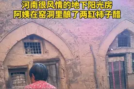阿姨在这住了几十年，全村都是住在地下，阿姨在自己家的窑洞里酿了两缸柿子醋，大冬天坐在院子里晒太阳喝茶太惬意了……#地坑院 #乡愁记忆 #新农人计划2024 #人间烟火 #窑洞视频封面