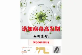 诺如病毒高发期，如何应对？ 如何应对诺如病毒感染？ 1. 呕吐时的处理 暂时不吃不喝：如果出现呕吐，可以暂时不吃不喝，等症状缓解后再逐渐恢复进食。 温和饮食：一旦呕吐症状减轻，可以选择清淡易消化的食物，如米粥、面条等，避免油腻和刺激性食物。 2. 腹泻时的处理 补充益生菌：腹泻时，可以补充益生菌来调整肠道菌群，帮助恢复肠道健康。 服用蒙脱石散：蒙脱石散可以帮助吸附肠道内的有害物质，缓解腹泻症状。 补液盐：即使只腹泻不呕吐，也一定要吃东西，因为身体需要能量来对抗疾病。同时，及时补充口服补液盐，防止脱水。 3. 发烧时的处理 物理降温：如果体温未超过38.5℃，可以采用物理降温方法，比如用温热的湿毛巾擦拭额头、腋下等部位，以起到降温作用。 药物降温：如果体温持续升高，超过38.5℃，应在医生指导下服用退热药，如对乙酰氨基酚片、布洛芬缓释胶囊等。 防止电解质紊乱 诺如病毒引起的呕吐、腹泻和发烧会带走身体大量的水分和电解质，所以一定要及时补液。补液可以通过口服补液盐，或者在必要时通过静脉补充糖、盐和维生素。 观察精神状况 观察家人，尤其是孩子的精神状况非常重要。孩子不会装病，如果他们精神不好，比如眼睛凹陷、皮肤失去弹性，那可能是脱水的信号，这时候就得赶紧去医院。如果出现离子紊乱，可能会导致昏迷，所以一定要去正规的儿童医院或综合急诊部门接受评估和治疗。 总结 虽然诺如病毒感染听起来有点严重，但这些都是事实。只要我们做好预防措施，及时处理症状，保持冷静，我们一定能度过这个高发期。希望大家都能健健康康，远离疾病的困扰。#诺如病毒 #硬核健康科普行动 #诺如病毒进入高发期 #医姐鸥姐视频封面