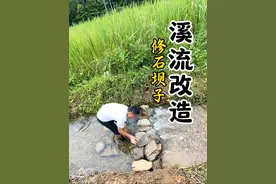 溪流改造 在家门口的溪流里用石头修了个坝子，方便鱼虾停留，你们说放点什么鱼比较好呢？ #我的乡村生活 #新农人计划2025 #乡村守护人 #跟着辉哥干三农