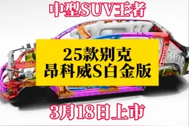 昂科威S白金版3月18上市，这样的配置你说定价多少合适 #别克