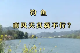 西南风不好钓鱼？那么整个春天都是刮南风，其实屁股就认准一个点 #迎着三月的阳光去钓鱼 春天钓鱼风向的真相#钓鱼人为了钓到大鱼有多拼 #分享钓鱼知识