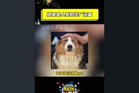 摸鱼一时爽 一直摸鱼一直爽#建议普及工位20min摸鱼效应 #打工人 #摸鱼 #牛马#班味视频封面