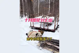 还记得你们小时候爷爷奶奶姥姥姥爷带你们发生的有趣事吗？#农村生活 #记录真实生活 #30年前的农村生活 #姥爷视频封面