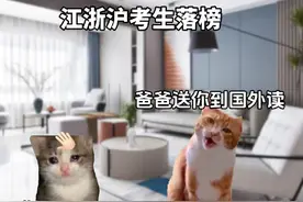 江浙沪考生落榜vs湖南考生落榜。#猫meme #猫meme小剧场 #meme视频封面
