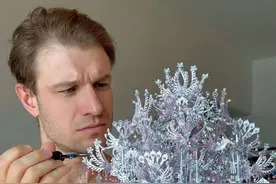 德国人亲手完成了粉黛二十二凤冠 #拼酷 #金属拼图 #来自粉黛二十二凤冠的浪漫 #上门女婿也是人