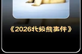 据说只有在2026年，才能看懂这张图片。 #奇闻奇事 #猎奇