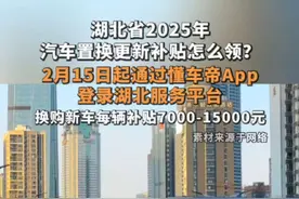 攻略来了！教你领2025年湖北汽车置换更新补贴，最高1.5万别错过#领汽车国补就上懂车帝 #汽车国补官方指定平台懂车帝 #2025年汽车国补怎么拿 