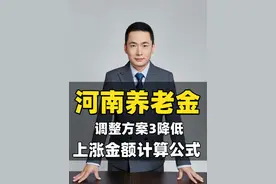 河南2025年养老金调整细则来了，上调金额计算公式 算算你涨多少？#养老金 #养老金又涨了 #退休金 #退休工资 #社保视频封面