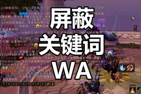 魔兽世界屏蔽关键词WA，让你摆脱刷屏的烦恼#魔兽世界