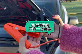 #特斯拉 为啥就不支持交流外放电呢，要支持这款神行侠我就冲了