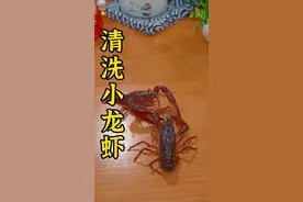 小龙虾最正确的清理方法顺序是这样的，你做对了吗#吃龙虾的季节 #小龙虾视频封面