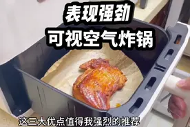 表现强劲的可视空气炸锅！大容量可炸整鸡，微蒸循环炸视频封面