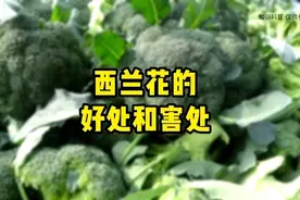 西兰花的好处和害处#低碳饮食 #西兰花营养价值 #科学饮食