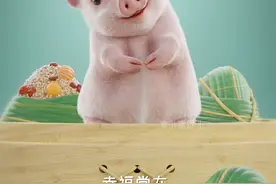 端午安康，记得好好吃好好睡！#端午安康 #端午节正确打开方式 #表情包 #轻漫计划视频封面