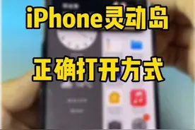 iPhone14Pro灵动岛的正确打开方式。养花养宠物都可以。#iphone使用技巧 #数码科技 #我的桌面iScreen