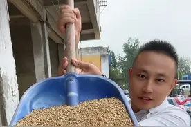 6月3号小麦最新报价！山东河北落价，河南稳定！目前河南价格最高！ 通知:邢台金沙河  陈麦价格1.42元/斤  陈红麦1.41元/斤  23年新麦价格1.405元/斤  23年新红麦价格1.395元/斤  仓储公司23年新麦价格1.41元/斤  大名五得利：大量收购普麦，陈麦价格1.41元/斤，新白普麦1.41元/斤，新红普麦1.395元/斤。标准 水份12.5%，【水份高于14%拒收】容重795克，面筋30%。落1分。                                            深州五得利落一分执行1.41 禹城五得利普麦价格下调一分，调后白普麦1.4元/斤，红麦1.38元/斤 惠民宇东:小麦下调2分，调整后价格 1.45元/斤，标准不变。 雄县五得利落2分，陈麦执行1.4，新麦执行1.385  #山东粮心通为你报行情 #山东粮信通为你报行情 #小麦最新报价