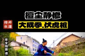 站桩，伏虎桩#站桩养生 #健康养生 #传统文化 #檀尘意舞#大成拳