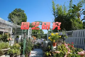 花卉行业从业者，园林园艺公司员工，或者园艺爱好者