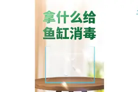 病鱼S鱼后，二氧化氯泡腾片给鱼缸消毒靠谱吗？#水族 #养鱼日记