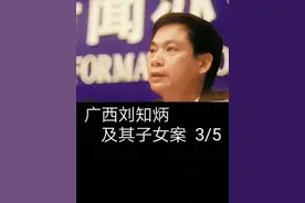 广西自治区副主席刘知炳及其子女案（3/5）#刘知炳#女儿#儿子#遵纪守法#真实案件@中视频伙伴计划官号 @抖音热点 @抖音创作者中心视频封面