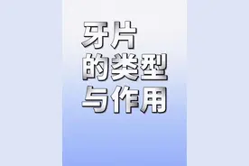 牙片的类型与作用#牙片的类型与作用 #牙片辐射