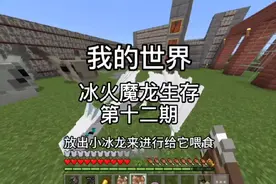 我的世界：冰火魔龙生存第十二期,成功孵化冰龙,制作龙霜套装