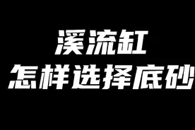 #养鱼日记 溪流缸如何选择底砂？#鳑鲏 #原生鱼 #溪流缸 #水族