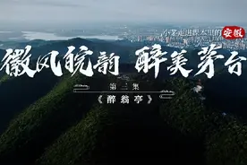 徽风皖韵·醉美茅台--小茅走进语文课本里的安徽之《醉翁亭记》视频封面