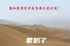 累趴了｜应广大粉丝的要求，关于滑完沙怎么上来的问题，今天专门录制了一段视频，通过视频来感受一下爬沙的难度，如果这样你还愿意滑沙体验吗？提别提示！这里滑沙都是车接的哦，如果自己趴上来那滑沙的体验就大打折扣了😀#滑沙#来新疆总要滑一次沙吧